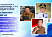 Jejak Karier Dr. Marindo Kurniawan:  Dari Tulang Bawang untuk Lampung Lebih baik