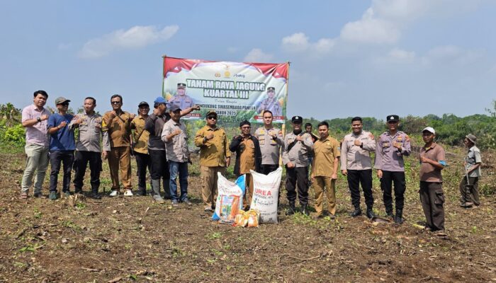 Dukung Ketahanan Pangan di Serang, Polsek Petir Tanam Jagung