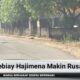 Jalan Sebiay Hajimena Makin Rusak, Warga Berharap Segera Diperbaiki