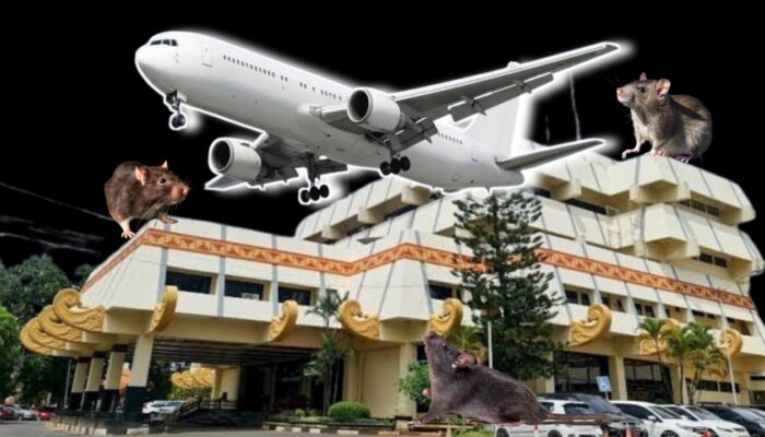 Analisis Anggaran Sewa Kapal Terbang untuk Jamaah Haji Lampung 2024