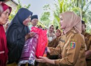 Wagub Lampung Jihan Nurlela Tinjau Lokasi Terdampak Gempa di Tanggamus