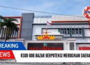Ungkap Potensi Kerugian Daerah di RSUD Bob Bazar