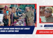 Gubernur Lampung Hadiri Prosesi Adat Cangget Turun Mandei di Lampung Timur
