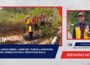 Video: Kepala Dinas BMBK Lampung Turun Langsung ke Lokasi Jembatan Way Sebatuan Bala