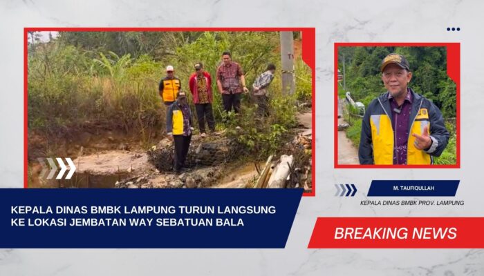 Video: Kepala Dinas BMBK Lampung Turun Langsung ke Lokasi Jembatan Way Sebatuan Bala