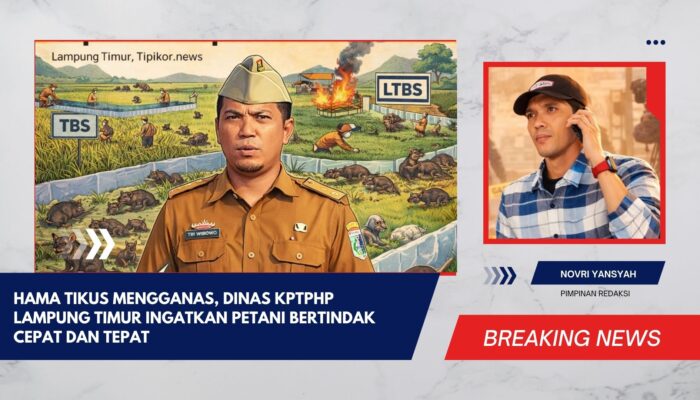 Hama Tikus Mengganas, Dinas KPTPHP Lampung Timur Ingatkan Petani Bertindak Cepat dan Tepat