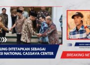 Lampung Ditetapkan sebagai Lokasi National Cassava Center