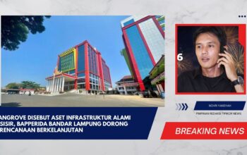 Mangrove Disebut Aset Infrastruktur Alami Pesisir, Bapperida Bandar Lampung Dorong Perencanaan Berkelanjutan