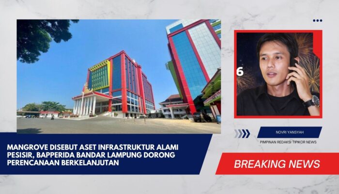 Mangrove Disebut Aset Infrastruktur Alami Pesisir, Bapperida Bandar Lampung Dorong Perencanaan Berkelanjutan
