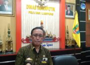 DINAS KOMINFOTIK PROVINSI LAMPUNG UCAPKAN SELAMAT HARI JADI KE-62 PROVINSI LAMPUNG