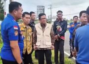 Penertiban Reklame Tak Berizin, Pemkab Lampung Selatan Rapikan Wajah Kota Kalianda