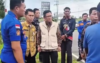 Penertiban Reklame Tak Berizin, Pemkab Lampung Selatan Rapikan Wajah Kota Kalianda
