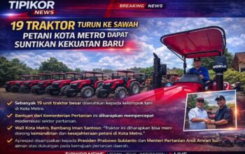 19 Traktor Turun ke Sawah, Petani Kota Metro Dapat Suntikan Kekuatan Baru