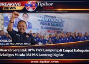 Gelombang Konsolidasi PAN di Lampung: Muscab Serentak Digelar, Mesin Partai Dipanaskan dari Bawah