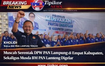 Gelombang Konsolidasi PAN di Lampung: Muscab Serentak Digelar, Mesin Partai Dipanaskan dari Bawah