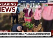 Hijau di Tengah Rutinitas: Cerita dari Halaman Samsat Pesawaran