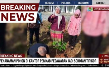 Hijau di Tengah Rutinitas: Cerita dari Halaman Samsat Pesawaran