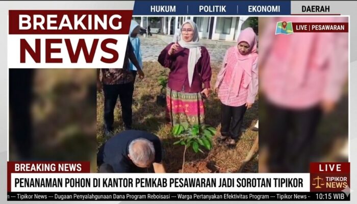 Hijau di Tengah Rutinitas: Cerita dari Halaman Samsat Pesawaran