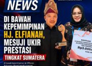 Di Bawah Kepemimpinan Hj. Elfianah, Mesuji Ukir Prestasi Tingkat Sumatera