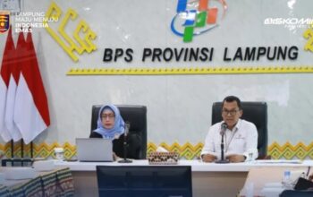 Kabar Baik dari Lampung! Pengangguran Turun, Jumlah Pekerja Naik di Awal 2026