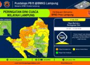 Lampung Siaga! BPBD Peringatkan Hujan Petir, Warga Diminta Jangan Lengah
