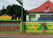 Belanja Rp5,4 Miliar di RSJD Lampung, Lima Perusahaan Kuasai 73 Persen Anggaran Pengadaan