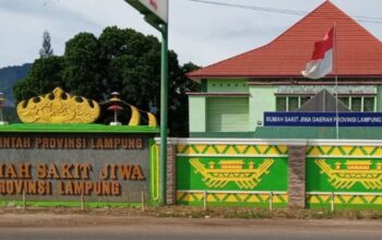 Belanja Rp5,4 Miliar di RSJD Lampung, Lima Perusahaan Kuasai 73 Persen Anggaran Pengadaan