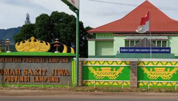 Belanja Rp5,4 Miliar di RSJD Lampung, Lima Perusahaan Kuasai 73 Persen Anggaran Pengadaan