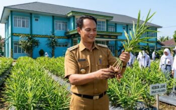 Inspiratif! SMAN 2 Kalianda Ubah Kebun Jahe Merah Menjadi Ruang Belajar Terbuka bagi Siswa
