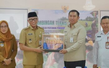Gubernur Lampung Dorong Penguatan Penyuluh Pertanian
