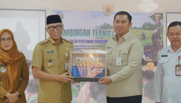 Gubernur Lampung Dorong Penguatan Penyuluh Pertanian
